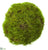 Moss Orb - Green - Pack of 12