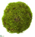 Silk Plants Direct Moss Orb - Green - Pack of 12