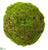 Moss Orb - Green - Pack of 12