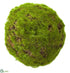 Silk Plants Direct Moss Orb - Green - Pack of 12