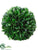 Boxwood Ball - Green - Pack of 6