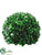 Boxwood Ball - Green - Pack of 4