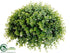 Silk Plants Direct Eucalyptus Half Ball - Green - Pack of 2