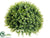 Eucalyptus Half Ball - Green - Pack of 2