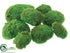 Silk Plants Direct Moss Ball - Green - Pack of 8
