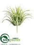 Silk Plants Direct Easter Grass Pick - Green - Pack of 72