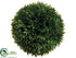Silk Plants Direct Tea Leaf Ball - Green - Pack of 6