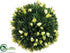 Silk Plants Direct Tea Leaf, Bud Ball - Green Two Tone - Pack of 6