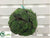 Moss, Soil Hanging Orb - Green - Pack of 6