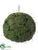 Silk Plants Direct Moss, Soil Hanging Orb - Green - Pack of 1