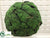 Moss, Soil Hanging Orb - Green - Pack of 1