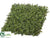 Boxwood Mat - Green - Pack of 3