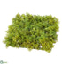Silk Plants Direct Moss Sheet - Green - Pack of 12