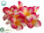 Plumeria Petal - Beauty Yellow - Pack of 24