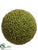 Seed Orb - Green - Pack of 6