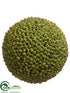 Silk Plants Direct Seed Orb - Green - Pack of 6