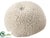 Brain Coral - Ivory - Pack of 2