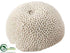Silk Plants Direct Brain Coral - Ivory - Pack of 2