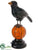 Silk Plants Direct Crow - Black Orange - Pack of 3