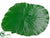 Lotus Leaf Placemat - Green - Pack of 12