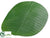 Silk Plants Direct Banana Leaf Placemat - Green - Pack of 12