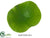 Lotus Leaf Coaster - Green - Pack of 12