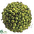 Berry Ball - Green - Pack of 6