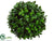 Boxwood Ball - Green Two Tone - Pack of 12