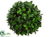 Silk Plants Direct Boxwood Ball - Green Two Tone - Pack of 12