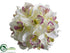 Silk Plants Direct Cymbidium Orchid Ball - Cream Beauty - Pack of 6