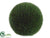 Grass Ball - Green - Pack of 2