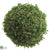 Boxwood Ball - Green - Pack of 6