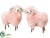 Sheep - Pink - Pack of 6