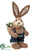 Bunny - Brown Blue - Pack of 4