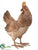 Rooster - Brown - Pack of 2