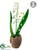 Lily of the Valley - White - Pack of 12