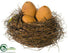 Silk Plants Direct Bird Nest - Brown - Pack of 4