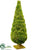 Silk Plants Direct Moss Topiary - Green - Pack of 2