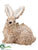 Bunny - Beige - Pack of 2