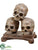 Silk Plants Direct Skull - Brown Antique - Pack of 2