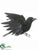 Crow With Open Wings - Black - Pack of 12