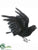 Crow With Open Wings - Black - Pack of 6