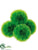 Allium Ball - Green - Pack of 6