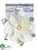 Floating Lotus - White - Pack of 12