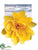 Floating Lotus - Yellow - Pack of 12