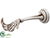 Vampire Hand Wall Decor - Beige Gray - Pack of 2