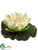 Floating Water Lily Flower Head - Cream - Pack of 24