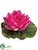 Floating Water Lily Flower Head - Fuchsia - Pack of 24