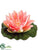 Floating Water Lily Flower Head - Pink - Pack of 24