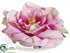 Silk Plants Direct Floating Rose - Pink - Pack of 12